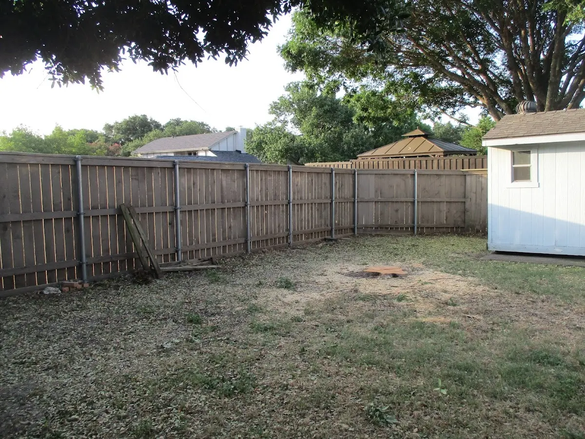 Cleared yard after professional tree removal in Norris