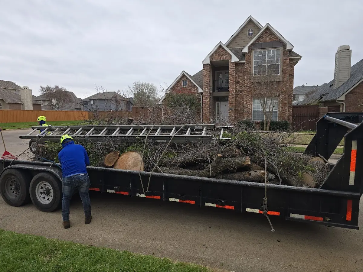 Expert Tree Fertilization with proper safety equipment in Norris